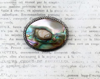 Vintage Abalone Brooch | Blister Pearl