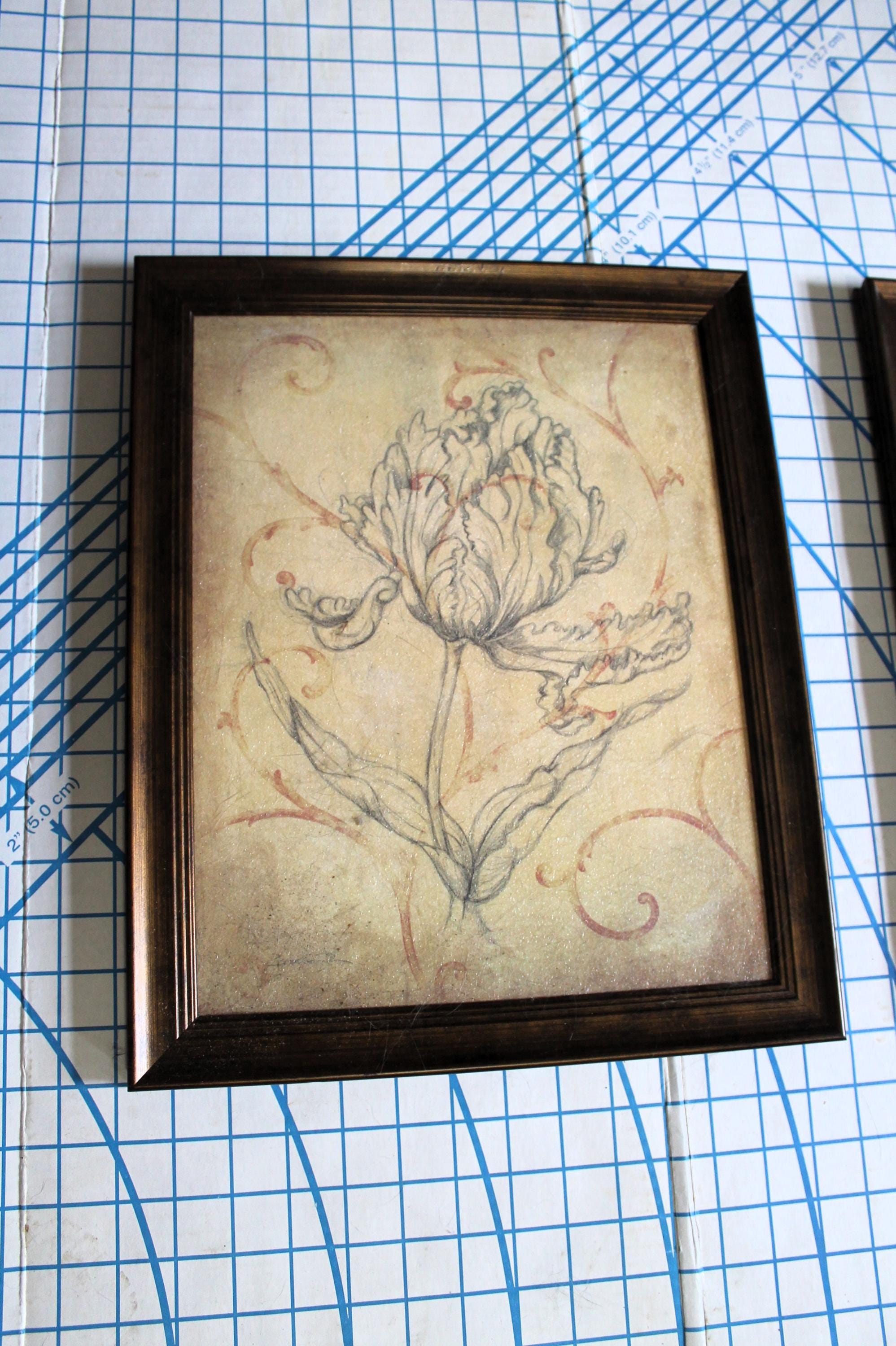 Set of 2 Framed Floral Prints by Justin Coopersmith - Etsy