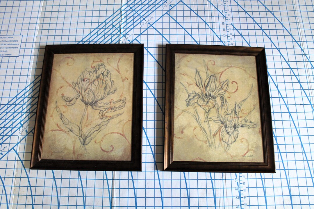 Set of 2 Framed Floral Prints by Justin Coopersmith - Etsy