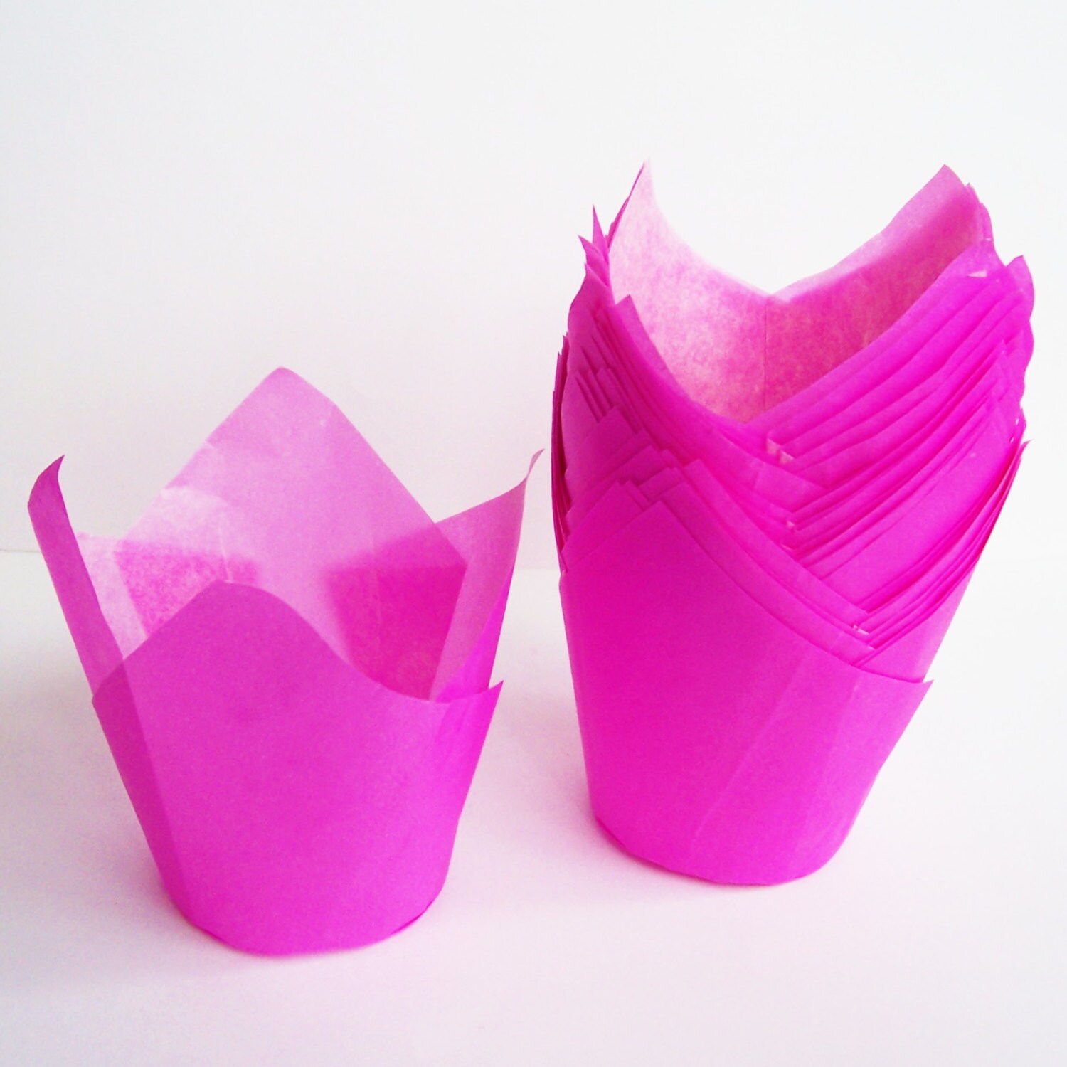 24 Pink Tulip Cupcake Liners Etsy