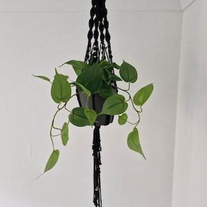 Peut inclure: Un porte-plante en macramé noir avec une plante verte suspendue. Le porte-plante est fait d'un cordon épais et a un anneau en bois en haut.