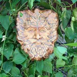 May include: A brown, shield-shaped wall plaque featuring a relief sculpture of a face surrounded by intricate oak leaves and a flowing beard. The piece has a smooth, polished finish with darker shading in the recessed areas of the carved foliage.