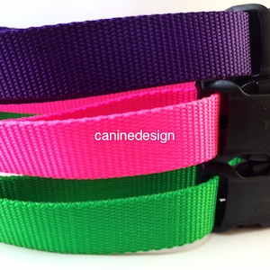 Dog Collar, Choose Your Color, Quick Release Buckle, 1 inch wide, adjustable, nylon