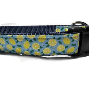 Lemon Dog Collar – 1 Inch Wide Adjustable Collar in Sizes S-XL – Custom Buckle or Martingale – Handmade Citrus Print Pet Collar