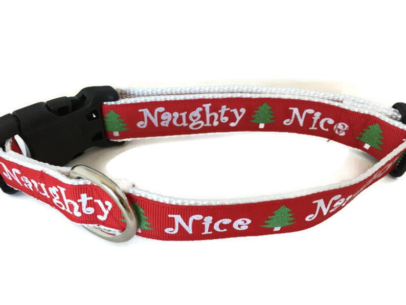 Dog Collar, Naughty Nice, 1 inch wide, adjustable, quick release image 2