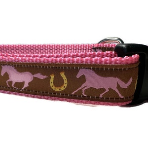 Dog Collar, Horses, 1 inch wide, adjustable; plastic or metal side release buckle, or chain martingale