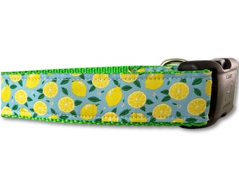 Obroża dla psa w kolorze cytrynowym – regulowana obroża o szerokości 2,5 cm w rozmiarach S–XL – z niestandardową klamrą lub martingale – ręcznie robiona obroża dla zwierząt z nadrukiem w cytrusy