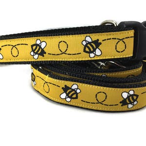 Collier et laisse pour chien, bourdon, laisse 4 pieds ou 6 pieds, 2,5 cm de large, collier réglable avec boucle en plastique, boucle en métal ou chaîne