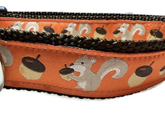 Dog Collar and Leash, Squirrels, 4ft or 6ft leash, 1 inch wide, adjustable collar with plastic buckle, metal buckle, or chain