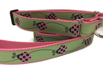 Dog Collar and Leash, Ladybug, 4ft or 6ft leash, 1 inch wide, adjustable collar with plastic buckle, metal buckle, or chain