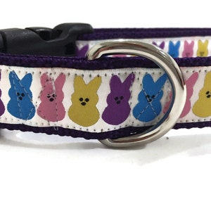 Easter Dog Collar and Leash, Bunny, 4ft or 6ft leash, 1 inch wide, adjustable collar with plastic buckle, metal buckle, or chain
