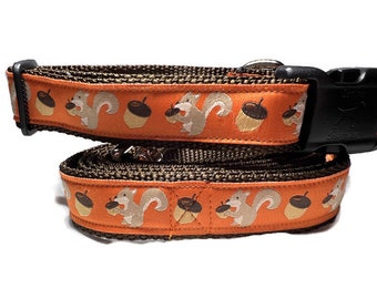 Dog Collar and Leash, Squirrel, 4ft or 6ft leash, 1 inch wide, adjustable collar with plastic buckle, metal buckle, or chain