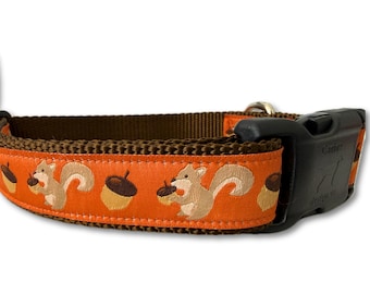 Squirrel Dog Collar – Fall Woodland Animal Collar with Acorns – 1" Wide Adjustable with Buckle or Martingale – Handmade Autumn Pet Gear