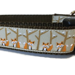 Dog Collar, Birch Fox, 1 inch wide, adjustable; plastic or metal side release buckle, or chain martingale