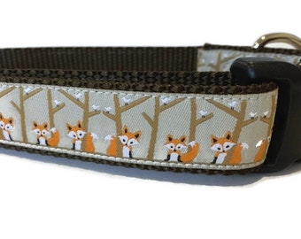 Dog Collar, Birch Fox, 1 inch wide, adjustable; plastic or metal side release buckle, or chain martingale
