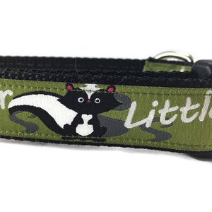 Dog Collar, Little Stinker, 1 inch wide, adjustable; plastic or metal side release buckle, or chain martingale
