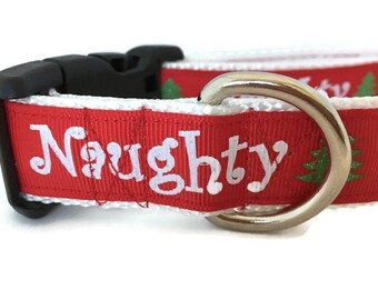 Dog Collar, Naughty Nice, 1 inch wide, adjustable, quick release