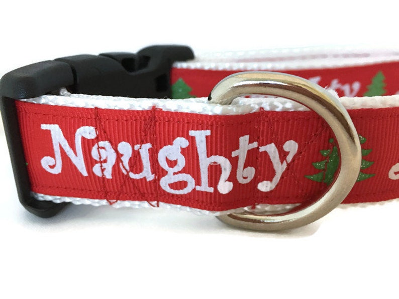 Dog Collar, Naughty Nice, 1 inch wide, adjustable, quick release image 1