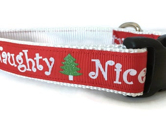 Dog Collar and Leash, Naughty Nice, 4ft or 6ft leash, 1 inch wide, adjustable collar with plastic buckle, metal buckle, or chain
