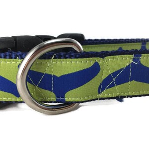 Hondenhalsband, walvisstaart, 1 inch breed, verstelbaar; plastic of metalen gesp aan de zijkant, of kettingmartingaal