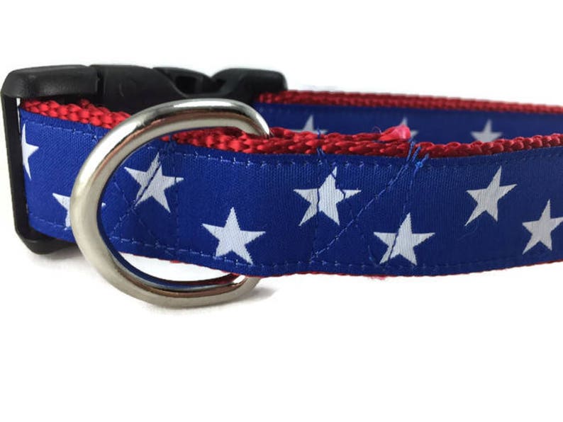 Dog Collar, Blue Stars, 1 inch wide, adjustable plastic or metal side release buckle, or chain martingale, american, patriotic image 1