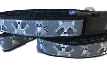 Dog Collar and Leash, Raccoon, 4ft or 6ft leash, 1 inch wide, adjustable collar with plastic buckle, metal buckle, or chain