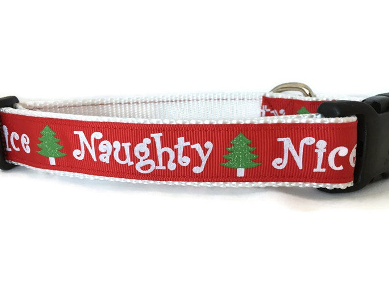 Dog Collar, Naughty Nice, 1 inch wide, adjustable, quick release image 4