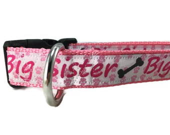 Dog Collar, Big Sister, 1 inch wide, adjustable; plastic or metal side release buckle, or chain martingale