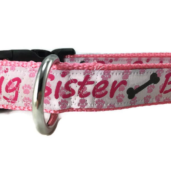 Dog Collar, Big Sister, 1 inch wide, adjustable; plastic or metal side release buckle, or chain martingale