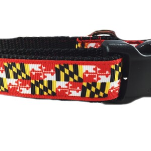 Dog Collar and Leash, Maryland, 4ft or 6ft leash, 1 inch wide, adjustable collar with plastic buckle, metal buckle, or chain