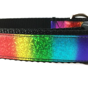 Dog Collar, Rainbow, 1 inch wide, adjustable; plastic or metal side release buckle, or chain martingale