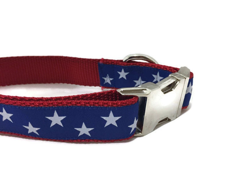 Dog Collar, Blue Stars, 1 inch wide, adjustable plastic or metal side release buckle, or chain martingale, american, patriotic image 4