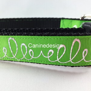 May include: A green dog collar with black webbing and a silver reflective name tag that says "Belle".