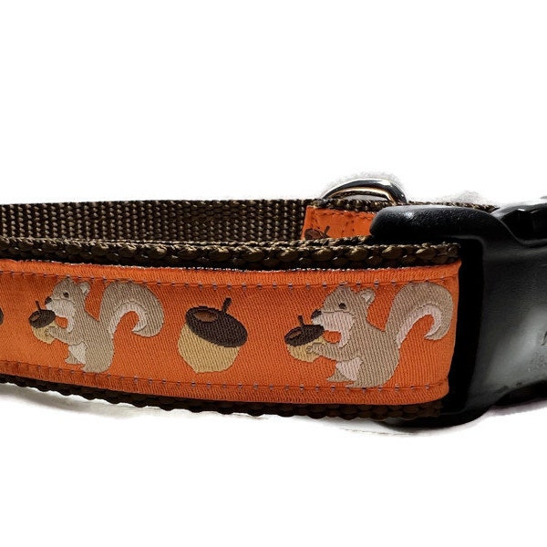 Dog Collar, Squirrels, 1 inch wide, adjustable; plastic or metal side release buckle, or chain martingale