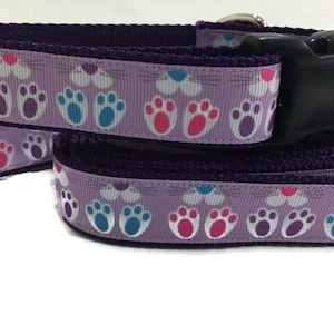Easter Dog Collar and Leash, Bunny Feet, 4ft or 6ft leash, 1 inch wide, adjustable collar with plastic buckle, metal buckle, or chain