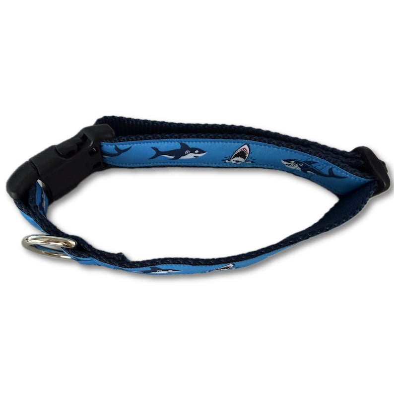 May include: Blue dog collar with a shark pattern. The collar features a black plastic buckle and a silver metal ring for leash attachment. The shark pattern includes images of sharks in various poses on a light blue background.