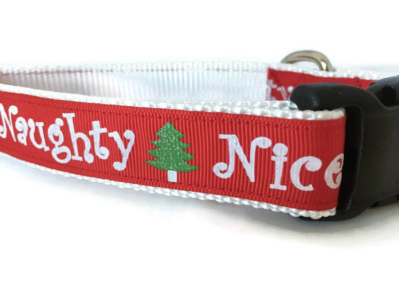 Dog Collar, Naughty Nice, 1 inch wide, adjustable, quick release image 3