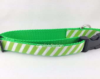 Dog Collar, Lime Green Stripes, 1 inch wide, adjustable; plastic or metal side release buckle, or chain martingale