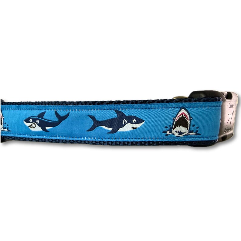 May include: A blue dog collar featuring a repeating pattern of cartoon sharks in navy blue and white. The collar has a black trim and a metal clasp.