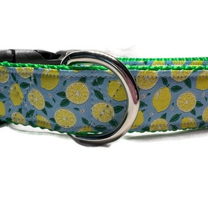 Lemon Dog Collar – 1 Inch Wide Adjustable Collar in Sizes S-XL – Custom Buckle or Martingale – Handmade Citrus Print Pet Collar