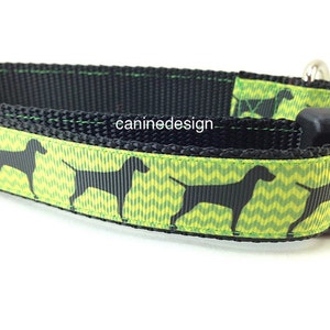Dog Collar, Vizsla, Pointer, 1 inch wide, adjustable; plastic or metal side release buckle, or chain martingale