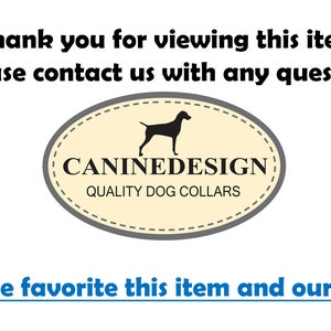 Dog Collar, Black Bear, 1 inch wide, adjustable, quick release, metal buckle, martingale, chain, hybrid, custom image 5