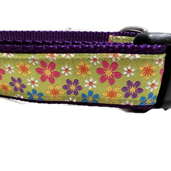 Dog Collar, Gerber Daisies, 1 inch wide, adjustable; plastic or metal side release buckle, or chain martingale