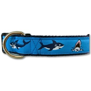 May include: A blue dog collar with a shark pattern. The collar features a repeating pattern of cartoon sharks in navy blue and white against a bright blue background. The collar has a gold-colored metal D-ring and a black buckle.