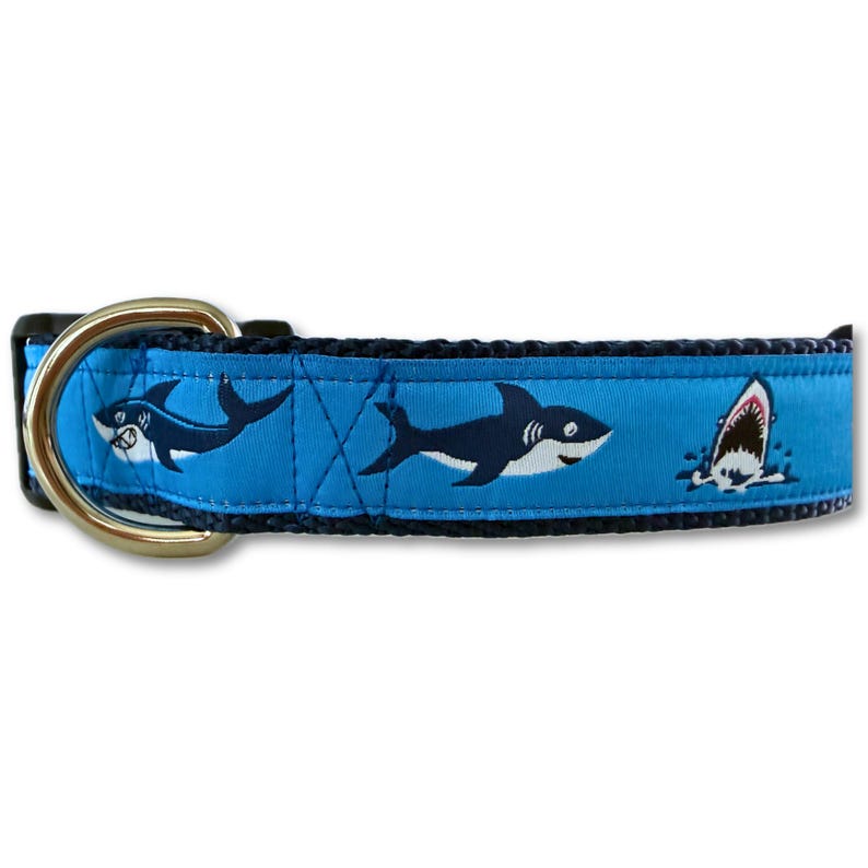 May include: A blue dog collar with a shark pattern. The collar features a repeating pattern of cartoon sharks in navy blue and white against a bright blue background. The collar has a gold-colored metal D-ring and a black buckle.