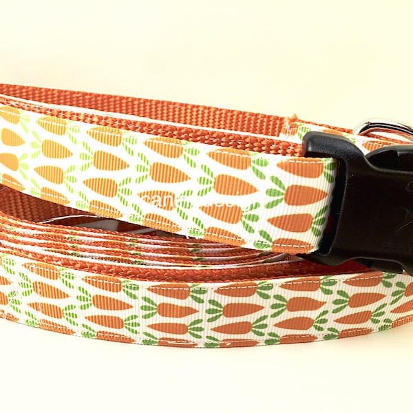 Dog Collar and Leash, Carrots, 4ft or 6ft leash, 1 inch wide, adjustable collar with plastic buckle, metal buckle, or chain