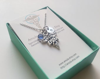 Collier vétérinaire DVM - Collier DVM - Cadeau de docteur en médecine vétérinaire - Collier de docteur en médecine vétérinaire - Cadeau de graduation DVM