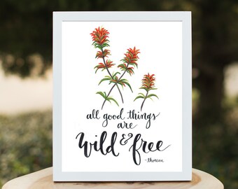 Wild and Free Wildflower Art Print by Wildflower Art Studio - Indian Paintbrush • All Good Things are Wild & Free