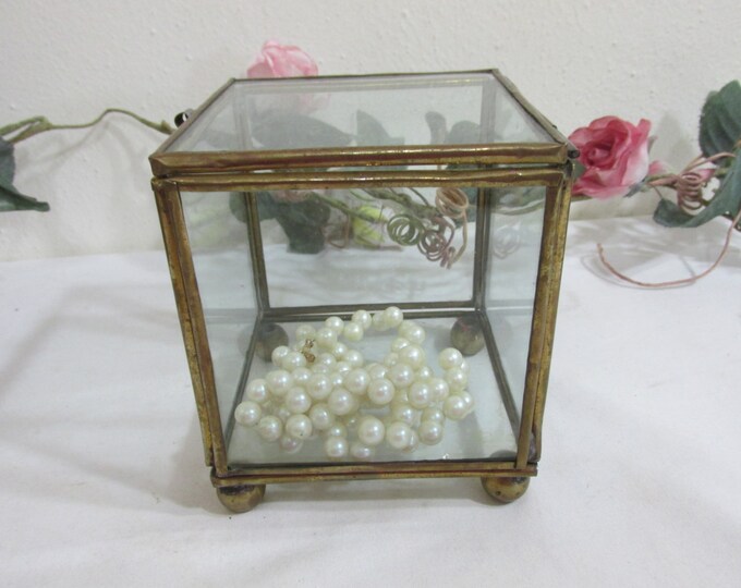 Terrarium Brass and Glass Small Display Case Etsy