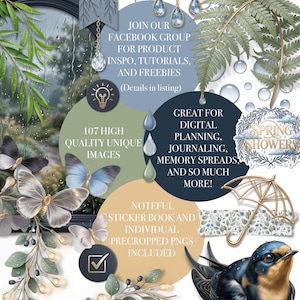 Könnte beinhalten: Digitale Kunstelemente mit dem Thema Frühlingsregen. Enthält Schmetterlinge, einen Vogel, einen Regenschirm und Text mit der Aufschrift "Let it Rain" und "Spring Showers". Das Bild enthält auch Text über eine Facebook-Gruppe und 107 einzigartige, hochwertige Bilder.